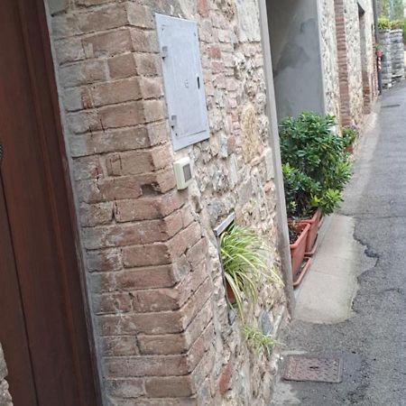 "La Casa Di Maria Luce" Con Terrazza Panoramica Διαμέρισμα Gaiole in Chianti Εξωτερικό φωτογραφία