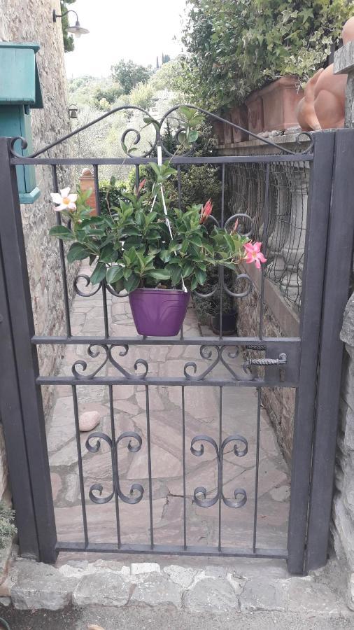 "La Casa Di Maria Luce" Con Terrazza Panoramica Διαμέρισμα Gaiole in Chianti Εξωτερικό φωτογραφία