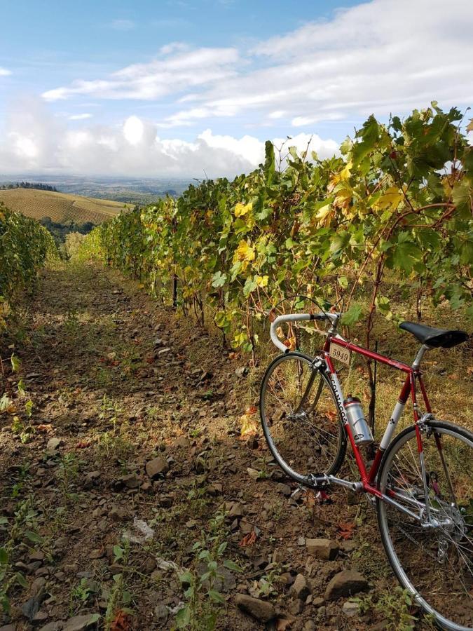 "La Casa Di Maria Luce" Con Terrazza Panoramica Διαμέρισμα Gaiole in Chianti Εξωτερικό φωτογραφία