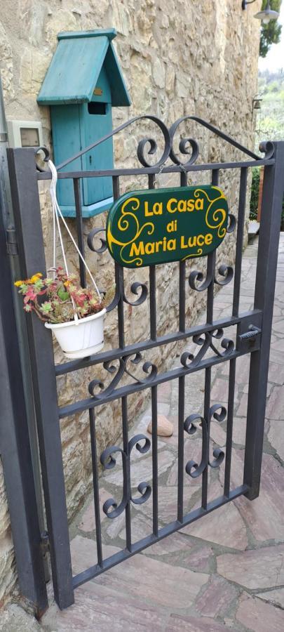 "La Casa Di Maria Luce" Con Terrazza Panoramica Διαμέρισμα Gaiole in Chianti Εξωτερικό φωτογραφία