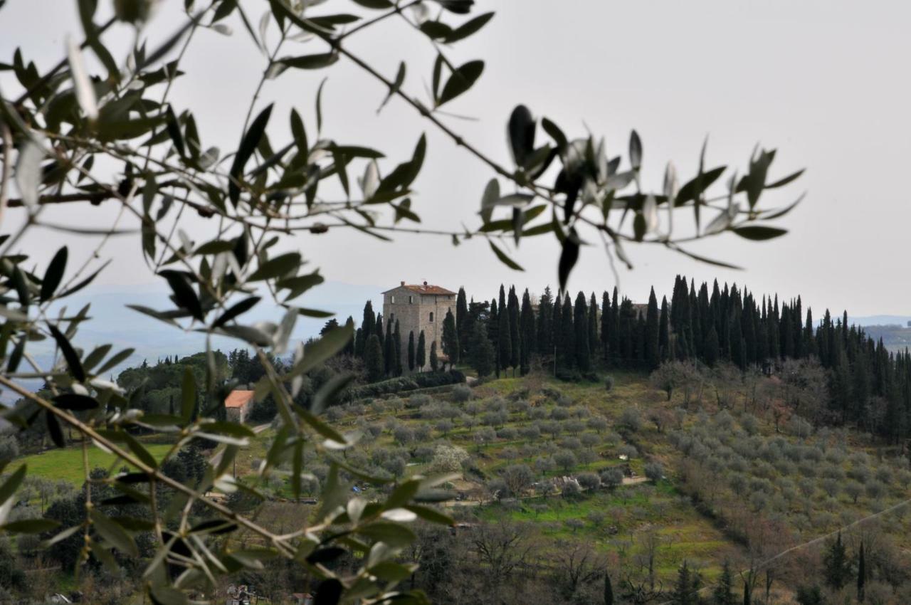 "La Casa Di Maria Luce" Con Terrazza Panoramica Διαμέρισμα Gaiole in Chianti Εξωτερικό φωτογραφία